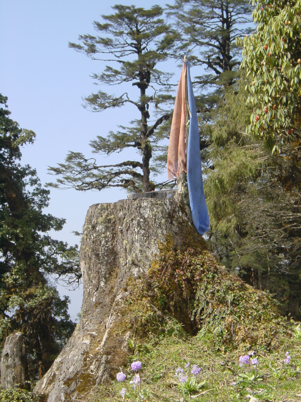 Bhutan2 010