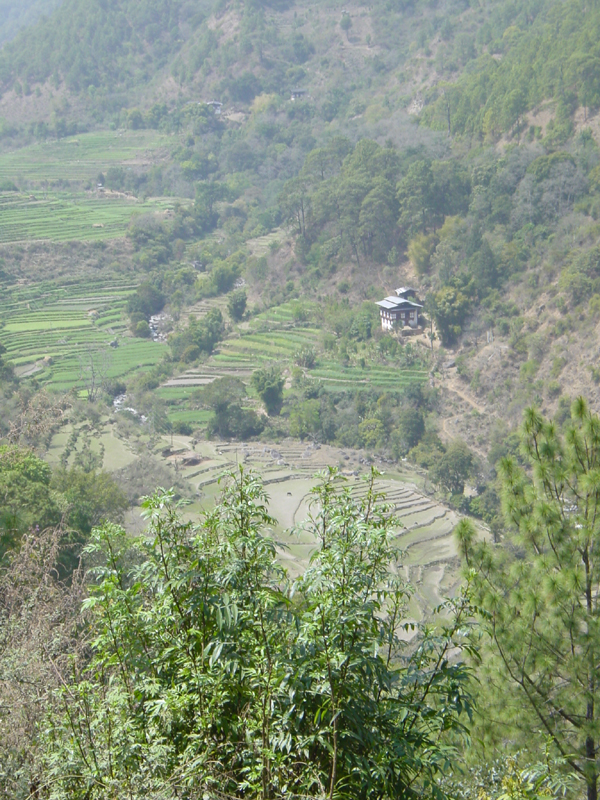 Bhutan2 039