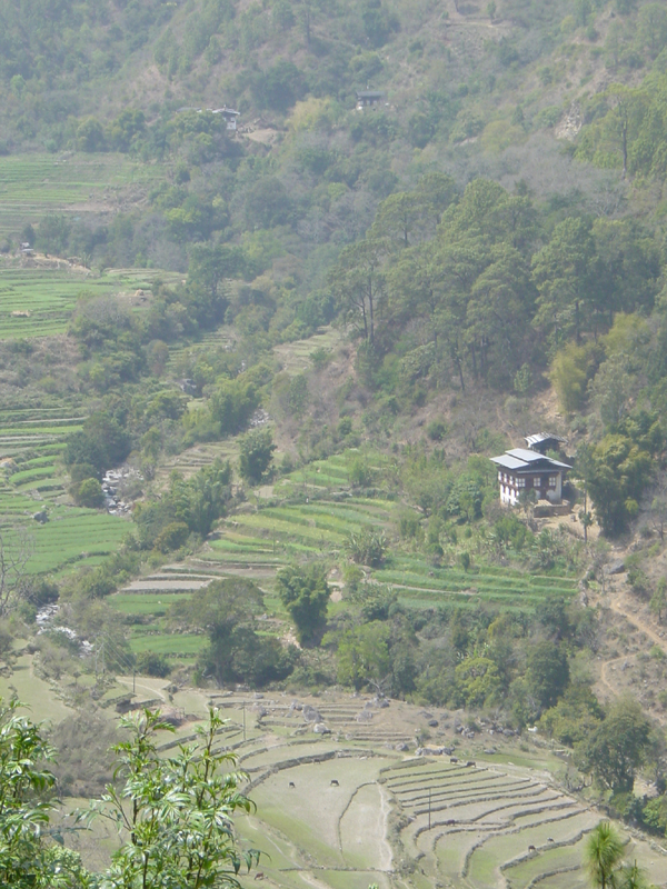 Bhutan2 041