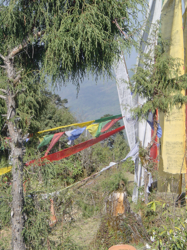 Bhutan3 061